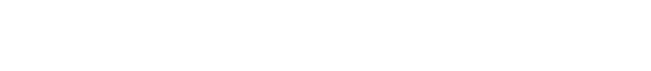 The Festival Agency
