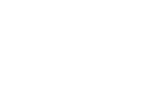 Bergen Film Festival