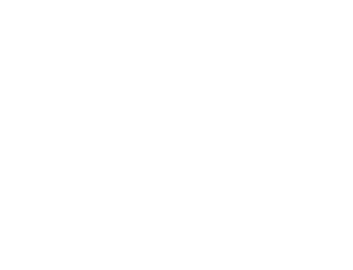 Beijing Film Festival