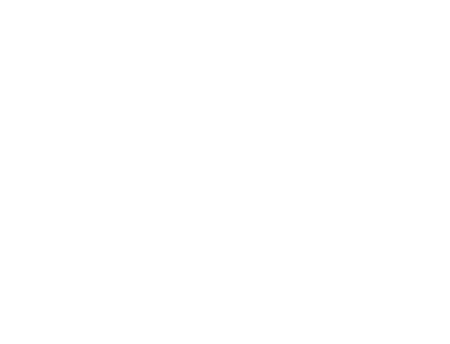 Busan Film Festival