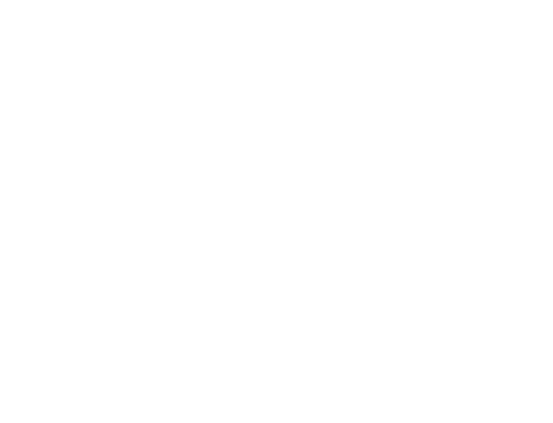 Cairo Film Festival