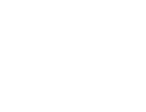 Chicago Film Festival