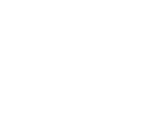Denver Film Festival