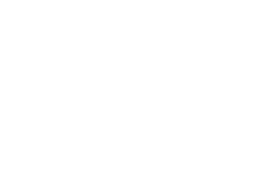 Jerusalem Film Festival