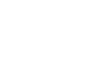 Locarno Film Festival