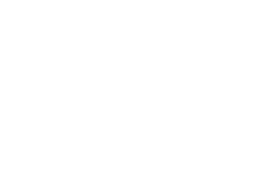 Melbourne Film Festival