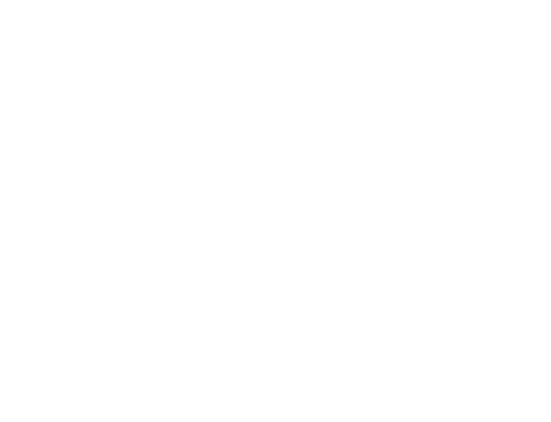 Miami Film Festival