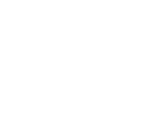 Morelia Film Festival