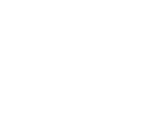 Mumbai Film Festival