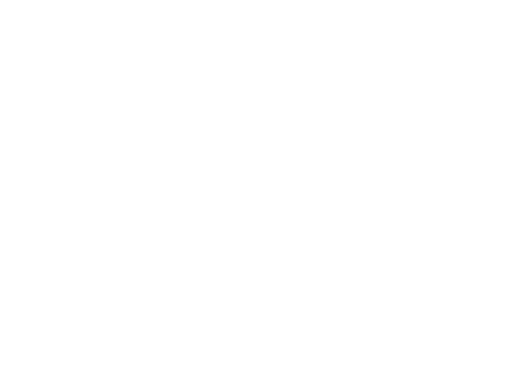 New York Film Festival