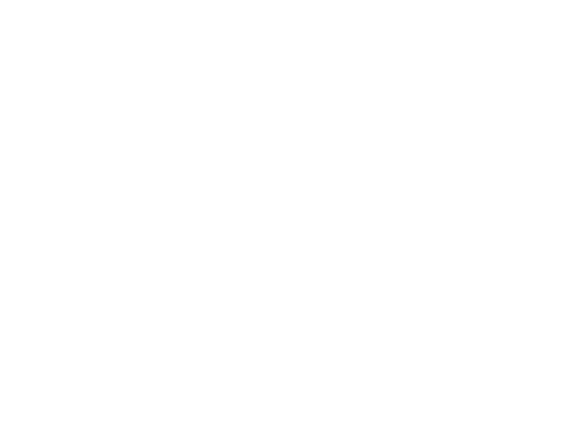 Black Nights Film Festival