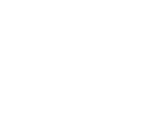 Rio Film Festival