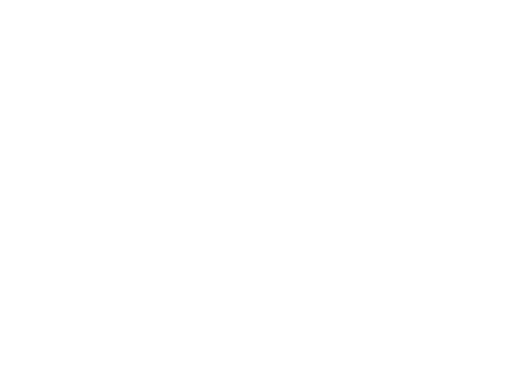 Rome Film Festival