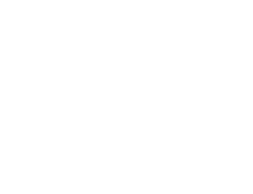 International Film Festival of Rotterdam