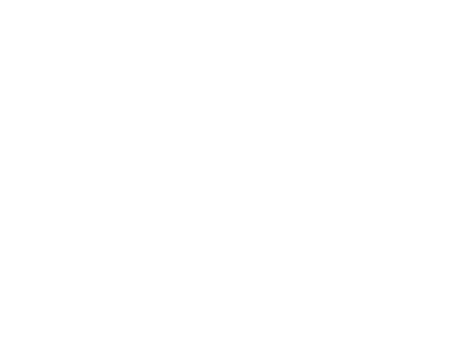 Sao Paulo Film Festival
