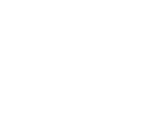 Seattle Film Festival