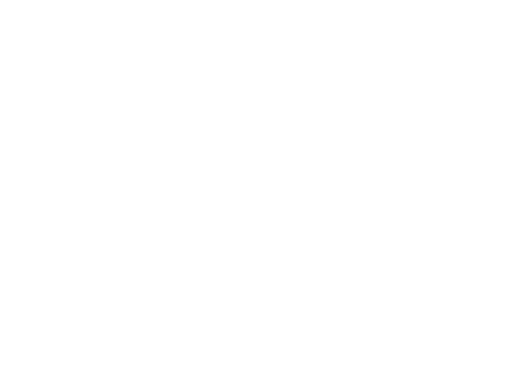 Shanghai Film Festival