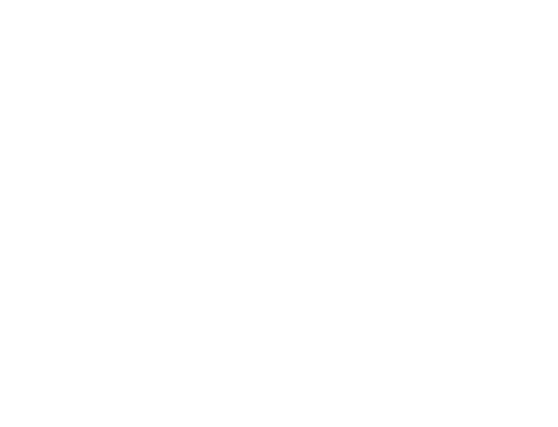 Sydney Film Festival