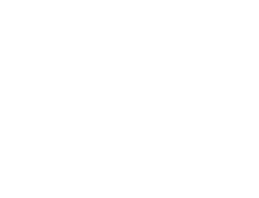 Telluride Film Festival