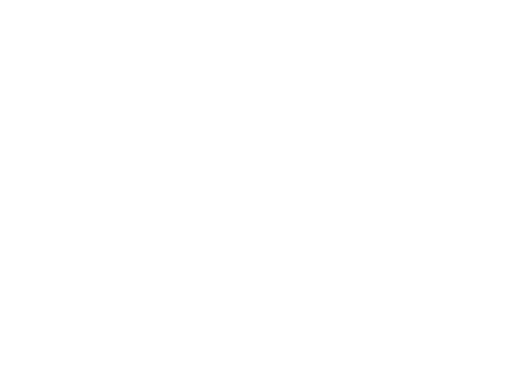 Tokyo Film Festival