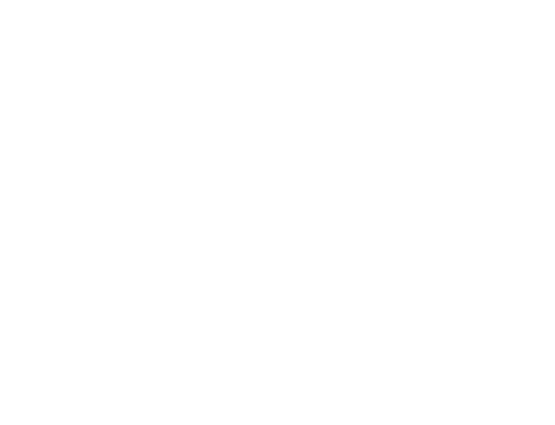 Torino Film Festival