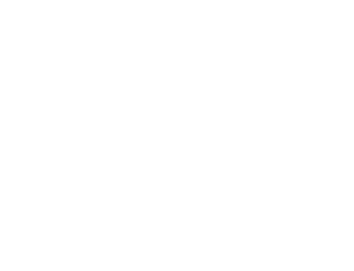 Toronto Film Festival