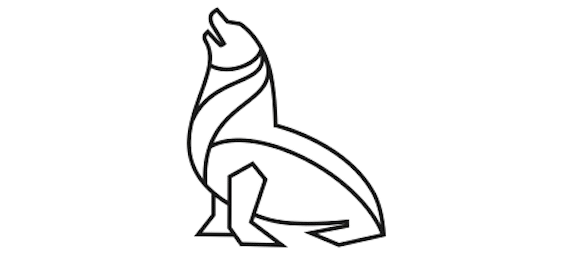 Mar Del Plata Festival